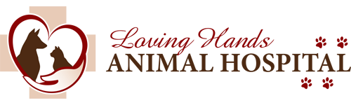 Loving Hands Animal Hospital